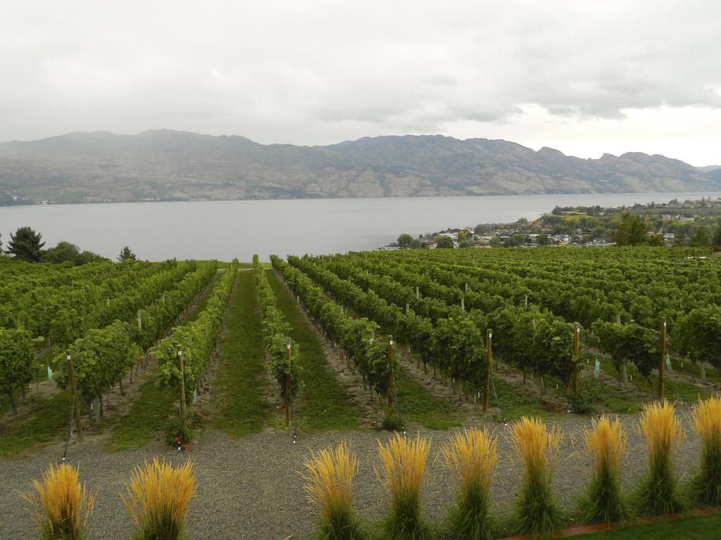 Winedownhere - Lic. 75806 Kelowna Exterior photo